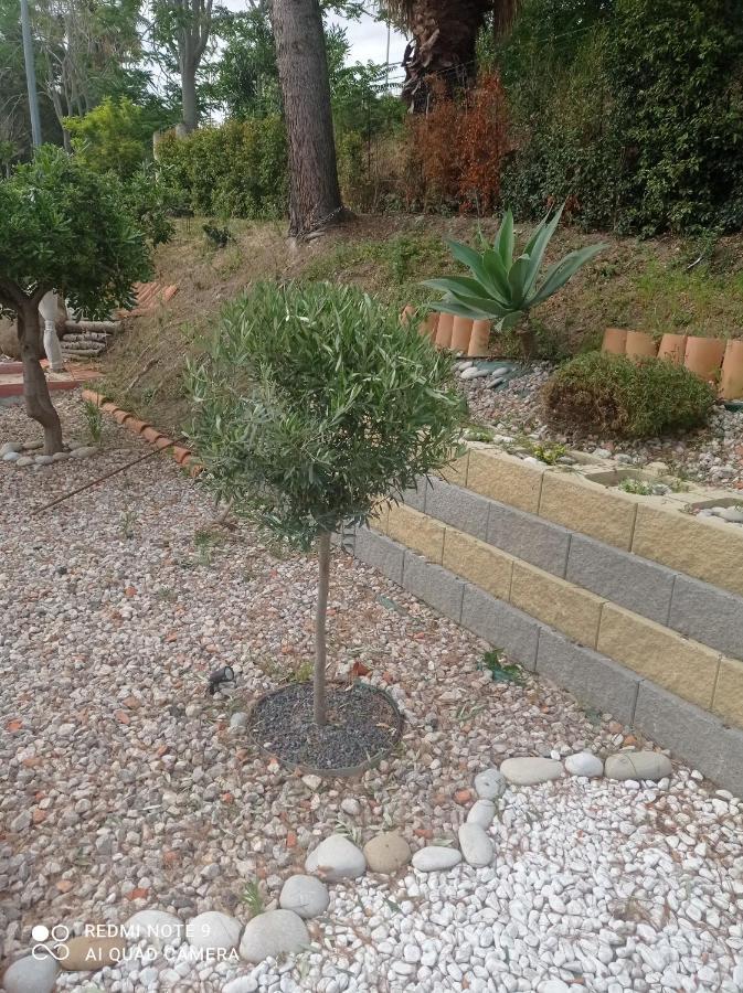 קמפופליצ'ה די רוצ'לה Villa Belvedere מראה חיצוני תמונה